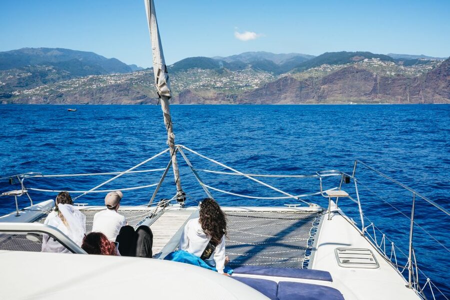 Funchal: Dolphin and Whale Watching by Luxury Catamaran - Cabo Girão, cliffs and a possible swim