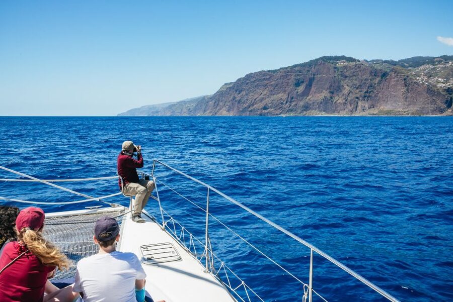 Funchal: Dolphin and Whale Watching by Luxury Catamaran - Is $47 a fair price?