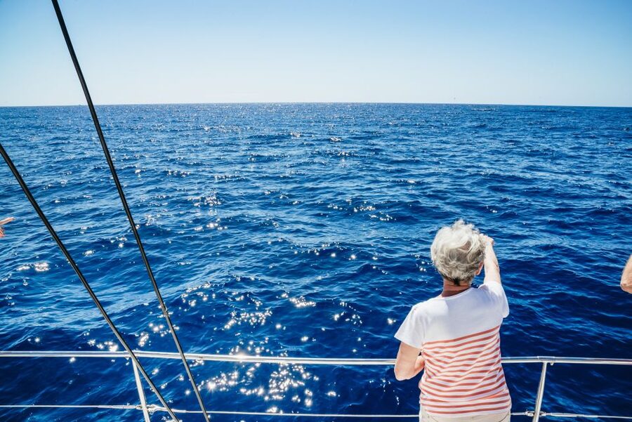 Funchal: Dolphin and Whale Watching by Luxury Catamaran - Finding Pier 8 at Funchal Marina