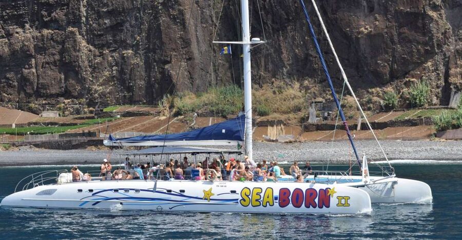 Funchal: Dolphin and Whale Watching Catamaran Cruise - Onboard comfort, drinks, and weather