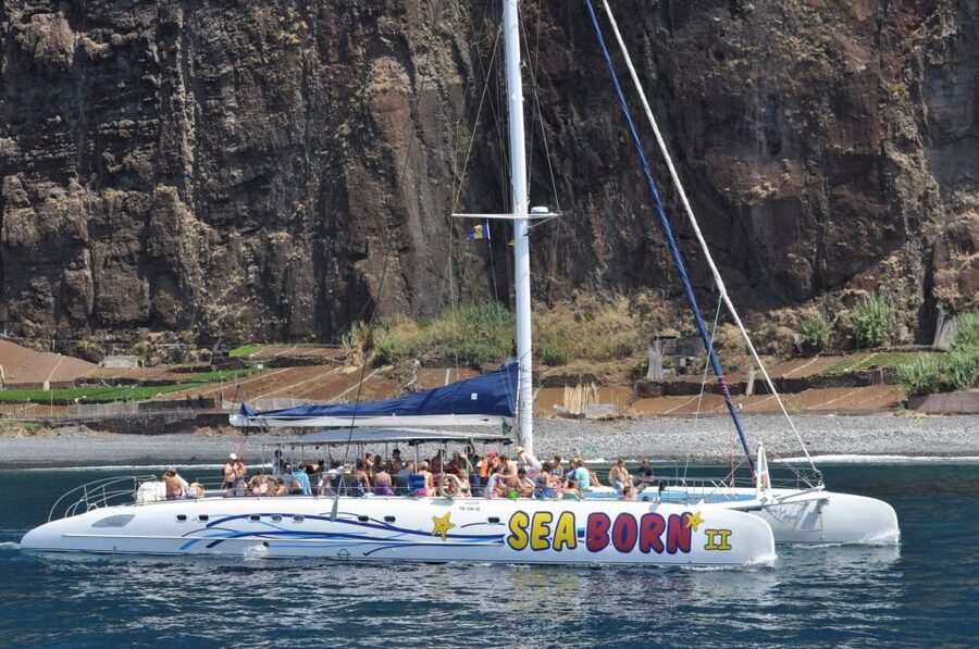 Funchal: Dolphin and Whale Watching Catamaran Cruise - The crew and the tone of the trip
