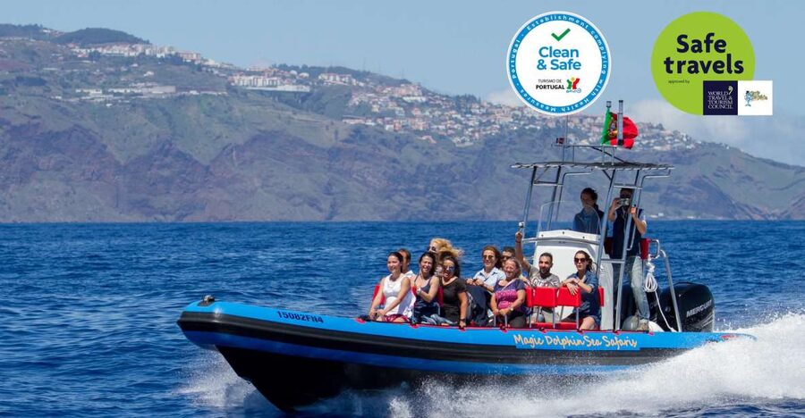 Funchal: Dolphin and Whale Watching Cruise - Key points to know before you book