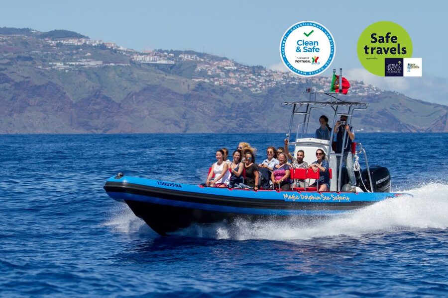 Funchal: Dolphin and Whale Watching Cruise - Why the small Sea Safari works well