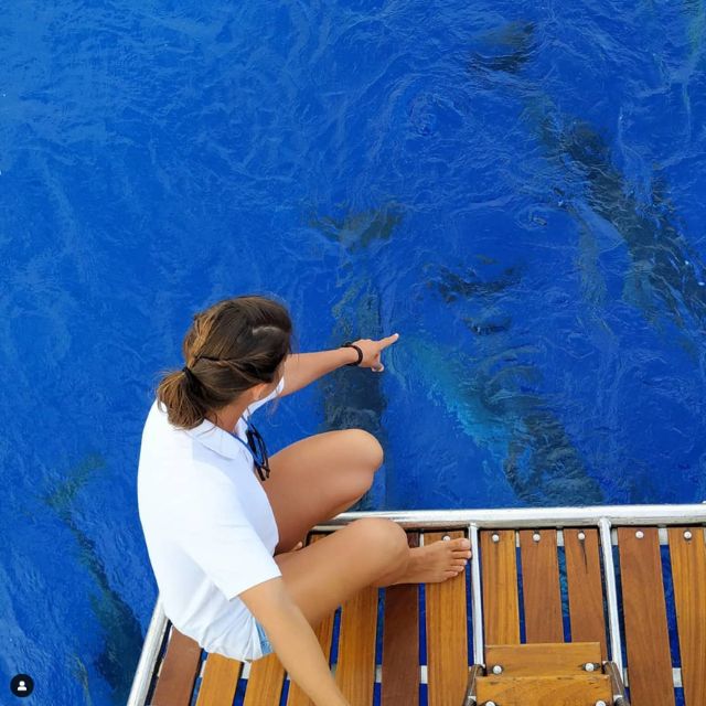Funchal: Dolphin and Whale Watching Sailing Trip - Cabo Girão and the Ocean Swim