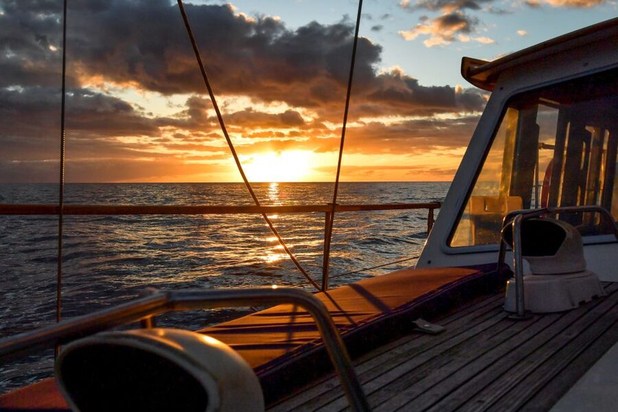 Funchal: Dolphin and Whale Watching Sunset Sailing Tour - Leaving Praça do Povo in Funchal