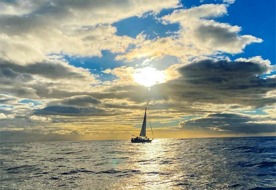 Funchal: Dolphin and Whale Watching Sunset Sailing Tour - Is $63 good value?