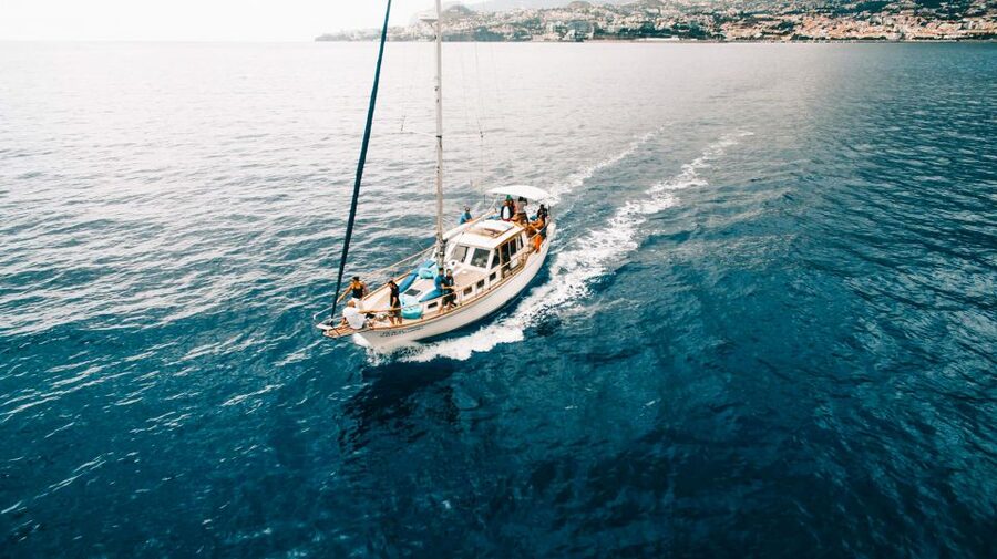Funchal: Dolphin and Whale Watching Sunset Sailing Tour - Should you book the Gavião Madeira sailing tour?
