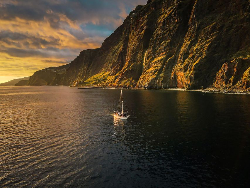 Funchal: Dolphin and Whale Watching Sunset Sailing Tour - FAQ