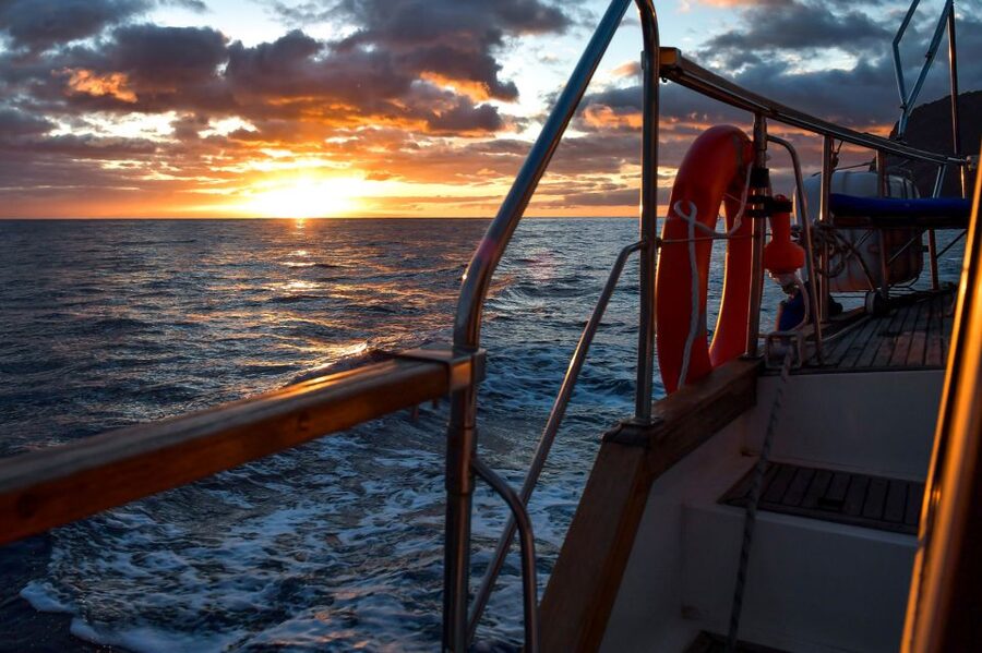 Funchal: Dolphin and Whale Watching Sunset Sailing Tour - Searching for dolphins, whales, and sea turtles