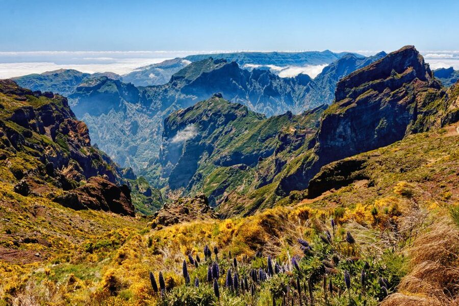 Funchal: East Madeira Island Guided Tour & Laurissilva Walk - Key points at a glance