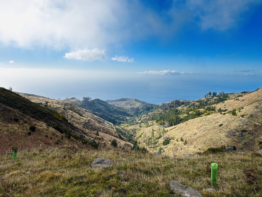 Funchal: East Madeira Island Guided Tour & Laurissilva Walk - Transport, pacing, and guide quality