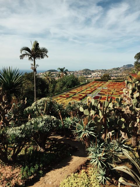 Funchal: Guided Old Town Tuk Tuk Tour and Botanical Gardens - Mercado dos Lavradores, color and local routine