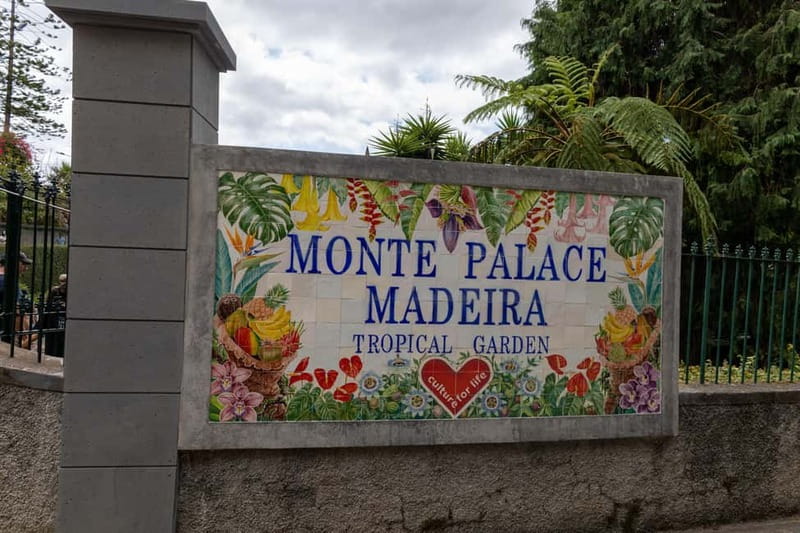 Funchal: Guided Tuk Tuk Tour to Toboggan Rides & Old Town - Why the tuk tuk is a smart way to reach Monte