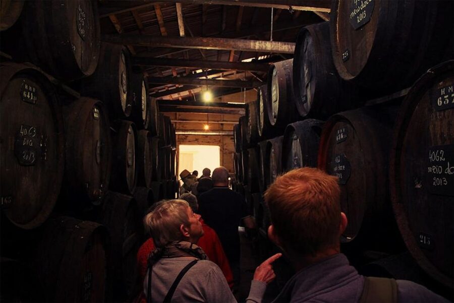 Funchal: H.M. Borges Winery Guided Tour with Wine Tasting - Why H.M. Borges is worth your time