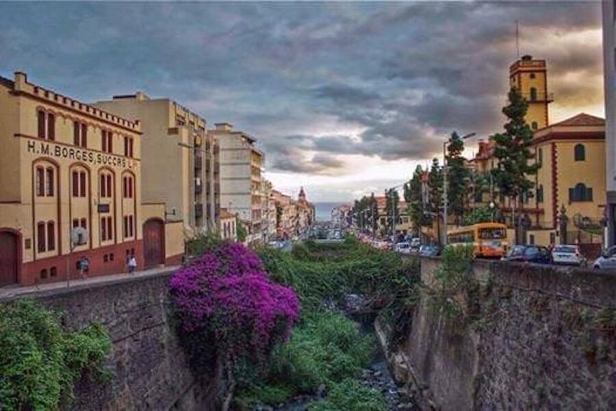 Funchal: H.M. Borges Winery Guided Tour with Wine Tasting - Who will enjoy this experience?