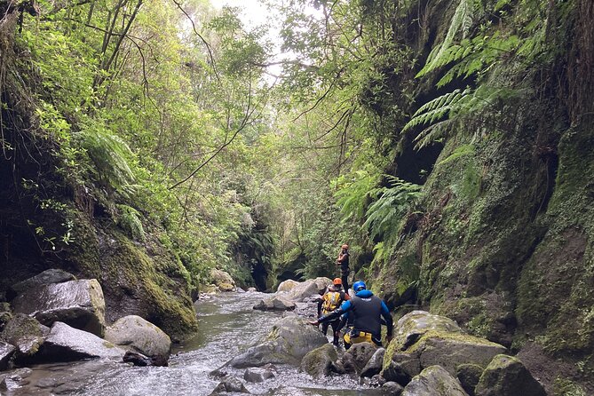 Funchal: Half-day Beginners Canyoning - Moving into Ribeira