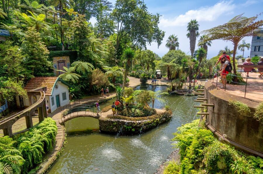 Funchal: Monte Palace Tropical Gardens Tuk Tuk Tour - Why the tuk tuk is the right way up Monte