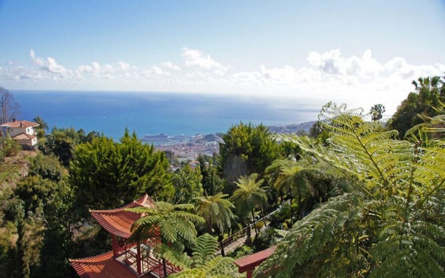 Funchal: Monte Palace Tropical Gardens Tuk Tuk Tour - The Monte church visit