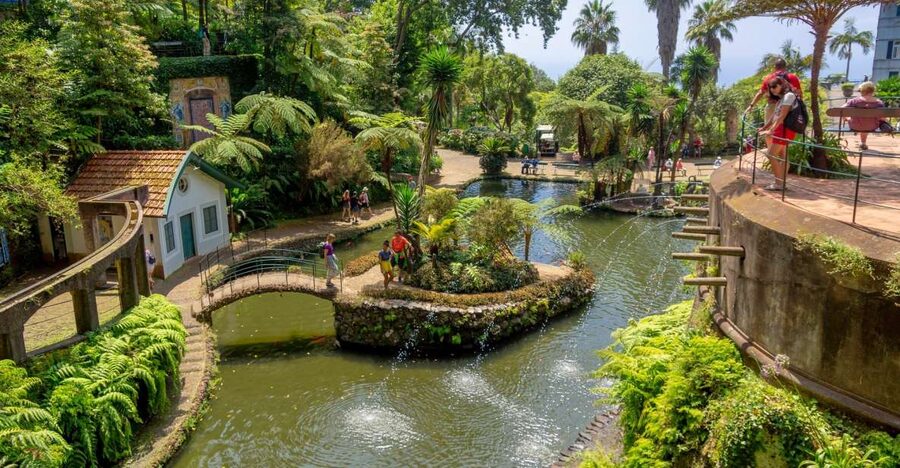 Funchal: Monte Palace Tropical Gardens Tuk Tuk Tour - Funchal views and the climb to Monte