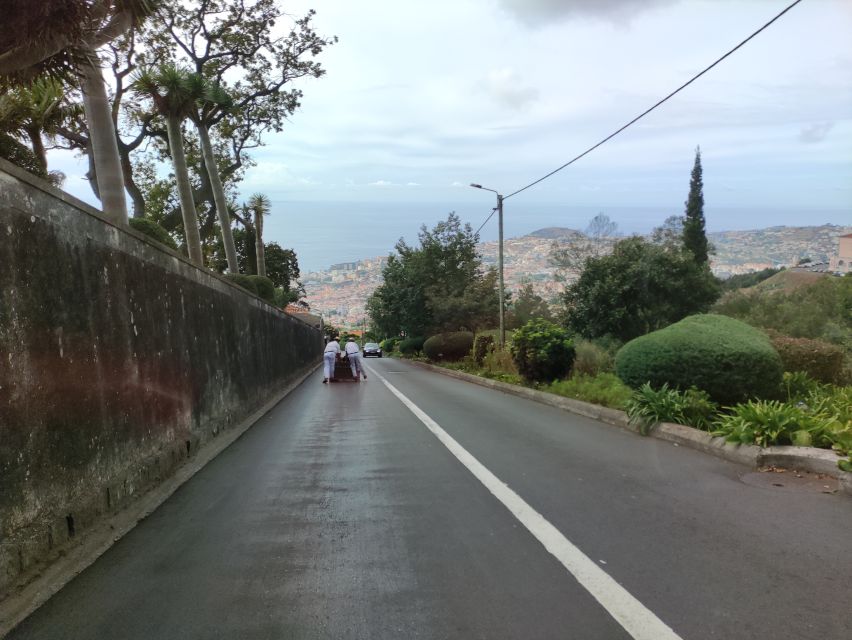 Funchal: Monte Toboggan and Old Town Tour by Tuk-Tuk - Key points at a glance