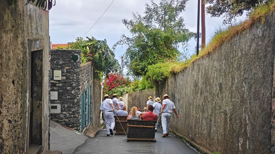 Funchal: Monte Toboggan and Old Town Tour by Tuk-Tuk - Who should book this Funchal tuk-tuk tour