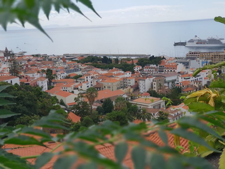 Funchal: Monte Toboggan and Old Town Tour by Tuk-Tuk - What the 2-kilometer descent feels like