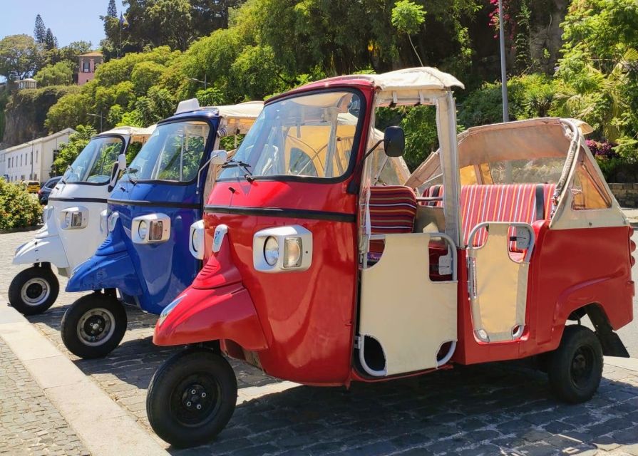 Funchal: Monte Toboggan and Old Town Tour by Tuk-Tuk - Timing, cancellations, and practical planning
