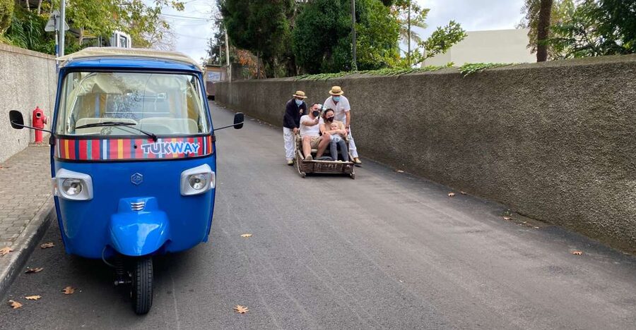 Funchal: Monte Tropical Garden & Toboggan Ride by Tuk Tuk - Monte Palace Madeira: a garden that needs time
