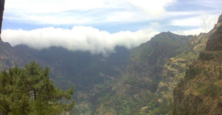 Funchal: Nuns Valley Half Day Tour - Why this short trip works so well
