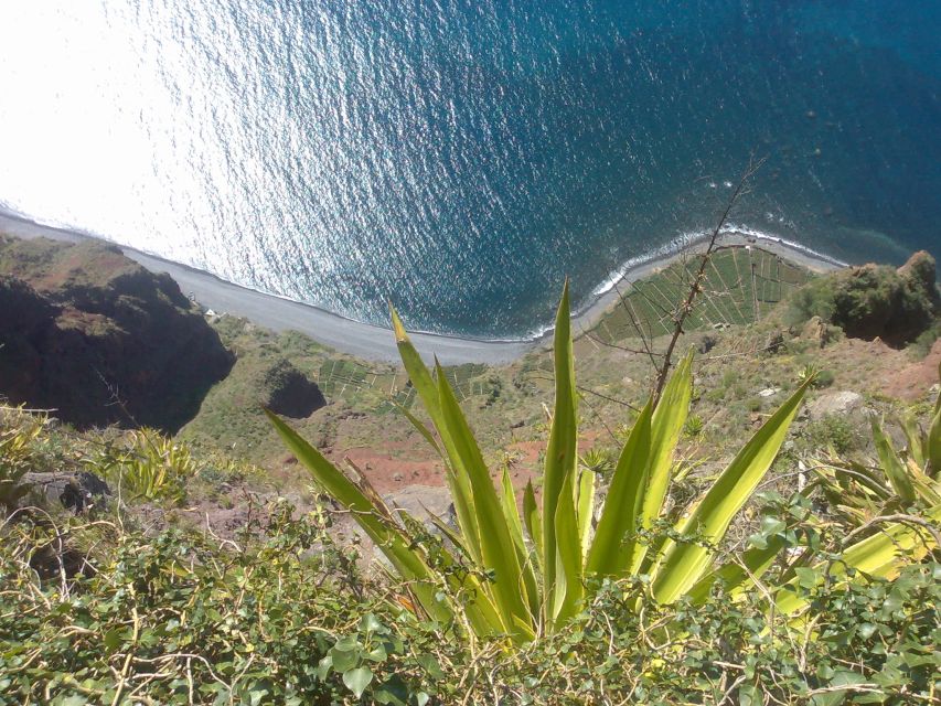 Funchal: Nuns Valley Half Day Tour - What the timing means for your day