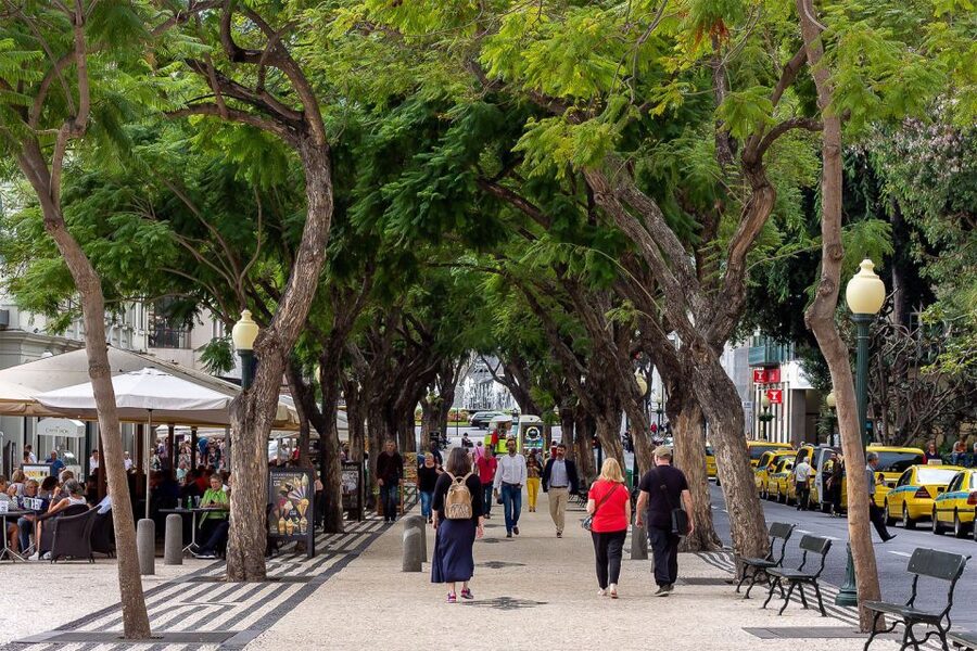 Funchal: Old Town Walking Tour - Key points to know before you book