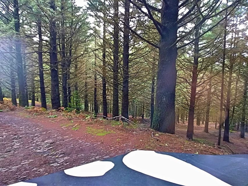 Funchal: Pico do Areeiro to Santana 4x4 East Tour - What the small group changes