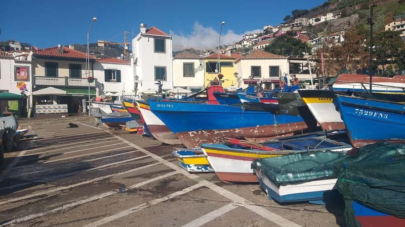 Funchal Private 4-Seater VIP Mercedes / 8-Seater Minibus - Central routes and flexible combinations
