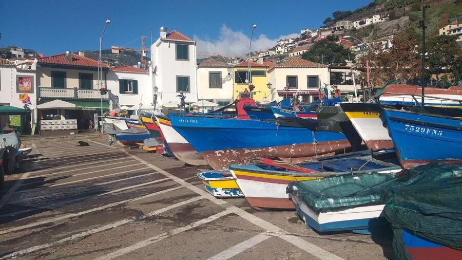 Funchal Private 4-Seater VIP Mercedes / 8-Seater Minibus - Lunch, tastings, and extra costs