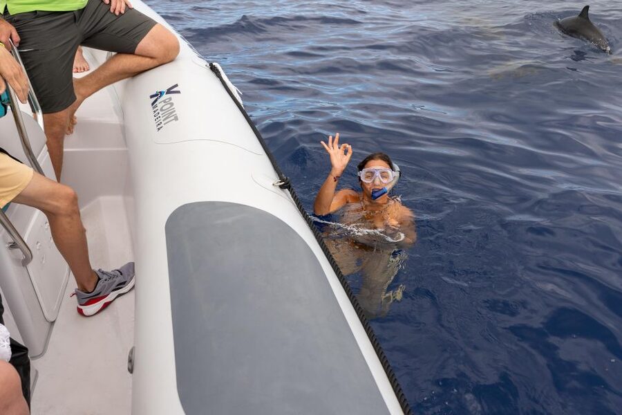 Funchal: RIB Whale Watching Cruise and Optional Dolphin Swim - Key things to know before booking