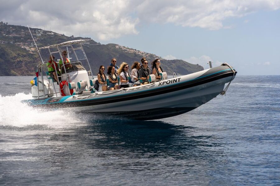 Funchal: RIB Whale Watching Cruise and Optional Dolphin Swim - Leaving Funchal harbor on a compact RIB