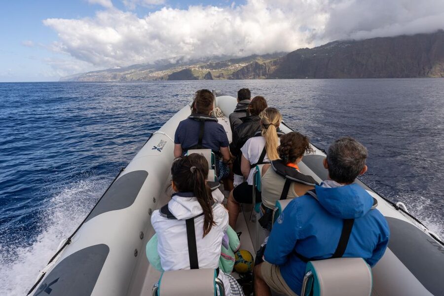 Funchal: RIB Whale Watching Cruise and Optional Dolphin Swim - Practical tips for a smoother outing
