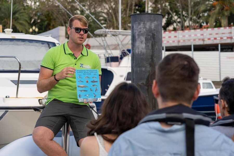 Funchal: RIB Whale Watching Cruise and Optional Dolphin Swim - Should you book it?