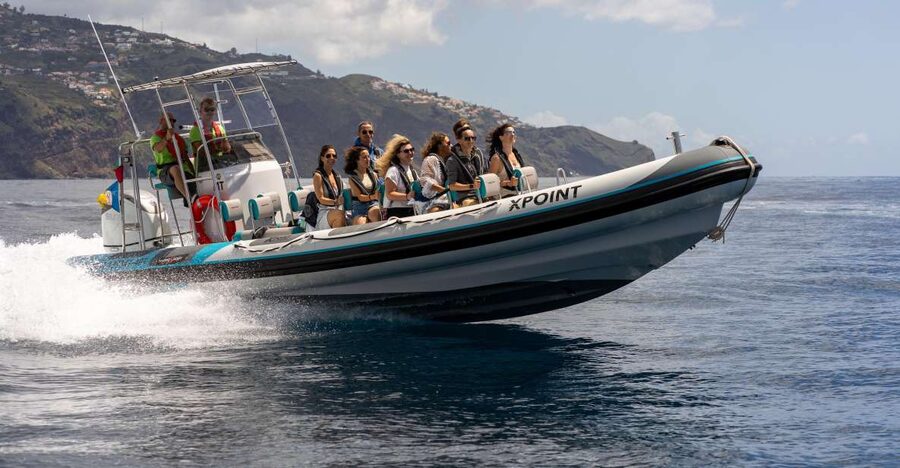 Funchal: RIB Whale Watching Cruise and Optional Dolphin Swim - Searching the Atlantic for dolphins and whales