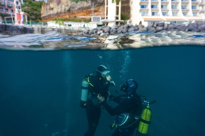 Funchal: Scuba Diving Experience for Beginners - The shallow reef and Atlantic sea life