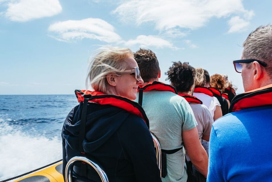 Funchal: Whale and Dolphin Watching Speed Boat Tour - Final verdict: should you book it?