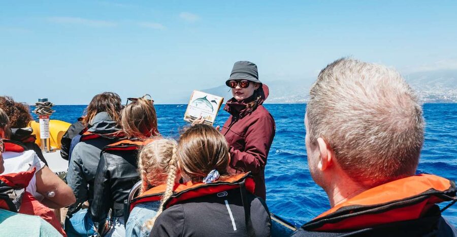 Funchal: Whale and Dolphin Watching Speed Boat Tour - Leaving Funchal Marina on a small, fast boat
