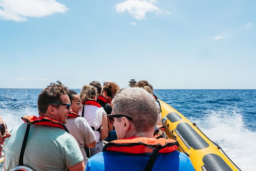 Funchal: Whale and Dolphin Watching Speed Boat Tour - Who will enjoy this Madeira boat trip most?