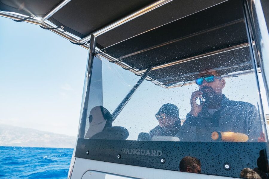 Funchal: Whale and Dolphin Watching Speed Boat Tour - Practical tips for a better outing