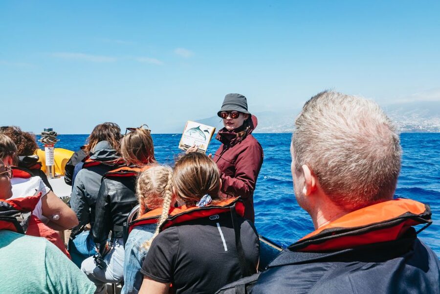 Funchal: Whale and Dolphin Watching Speed Boat Tour - How the land lookouts improve the wildlife search