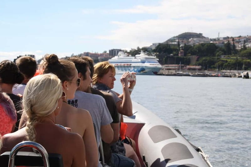 Funchal: Whale Watching and Swimming with Dolphins Cruise - Key points to know before you book