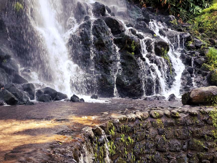 Furnas: Volcano Crater, Lake, Tea Plantation, and Waterfall - Santa Iria Lookout and the north coast