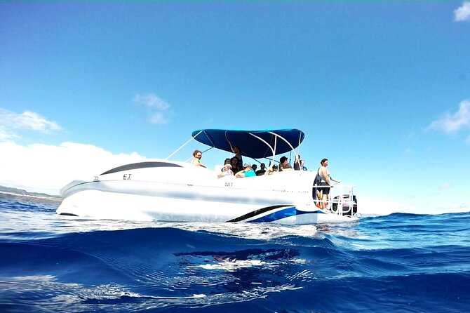 Glass Bottom Boat Tour & Snorkeling in São Miguel, Azores - Who will enjoy it most?