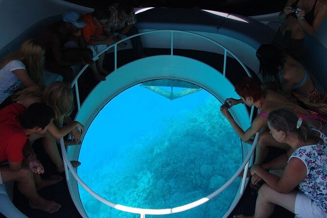 Glass Bottom Boat Tour & Snorkeling in São Miguel, Azores - Snorkeling beside the volcanic rock