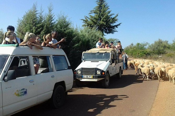 Half-Day Algarve Countryside and Villages Jeep Safari - Walking through the village of Alte